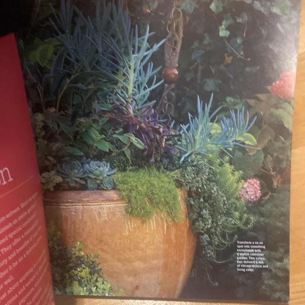 Sunset Magazine Container Gardening Guide - Picture 4 of 6
